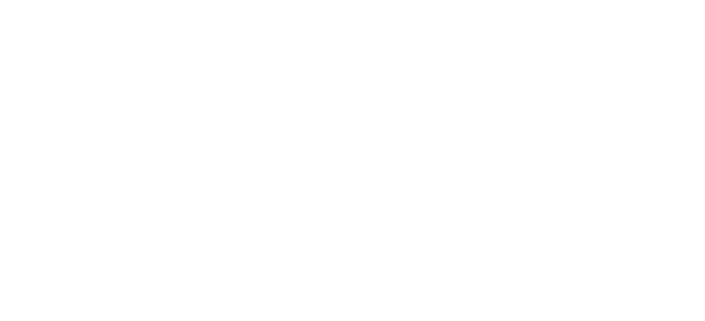 Auvik